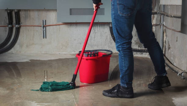 Best Carpet water damage restoration  in Lindenhurst, IL