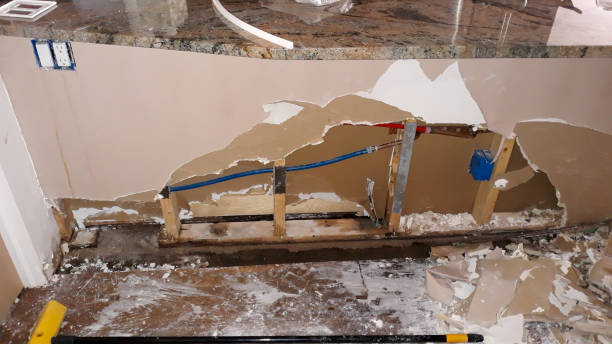 Best Water damage restoration insurance claims  in Lindenhurst, IL