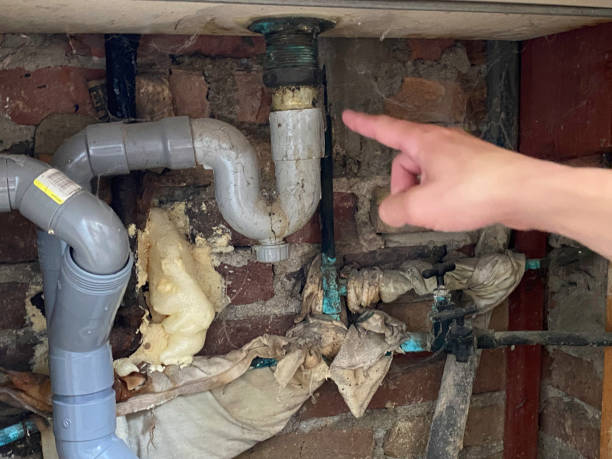 Best Water damage cleanup near me  in Lindenhurst, IL