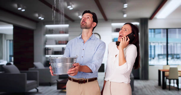 Best Basement water damage restoration  in Lindenhurst, IL